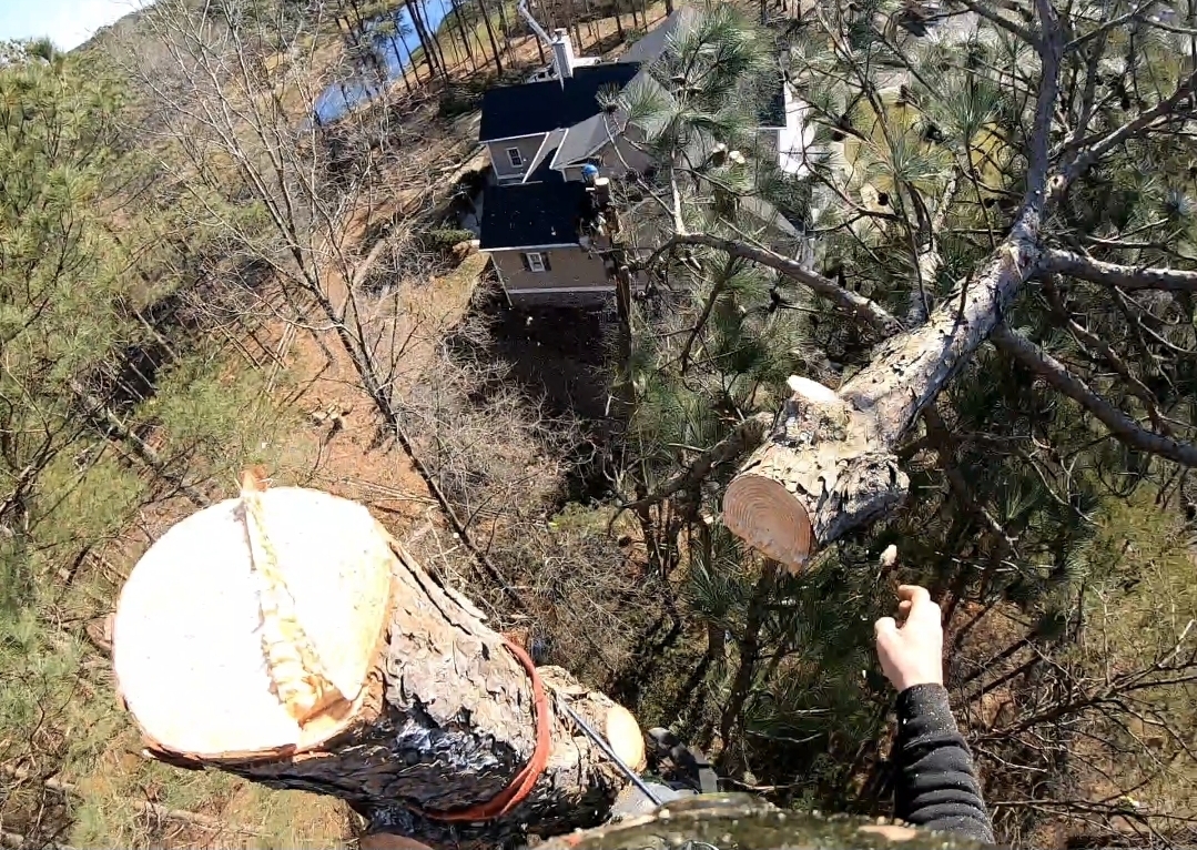Hella Trees Storm Damage Cleanup