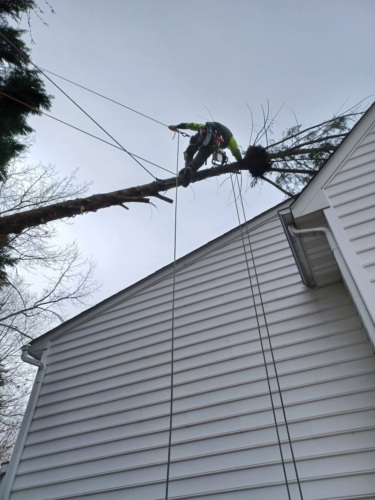 Storm Damage Cleanup Northern Virginia